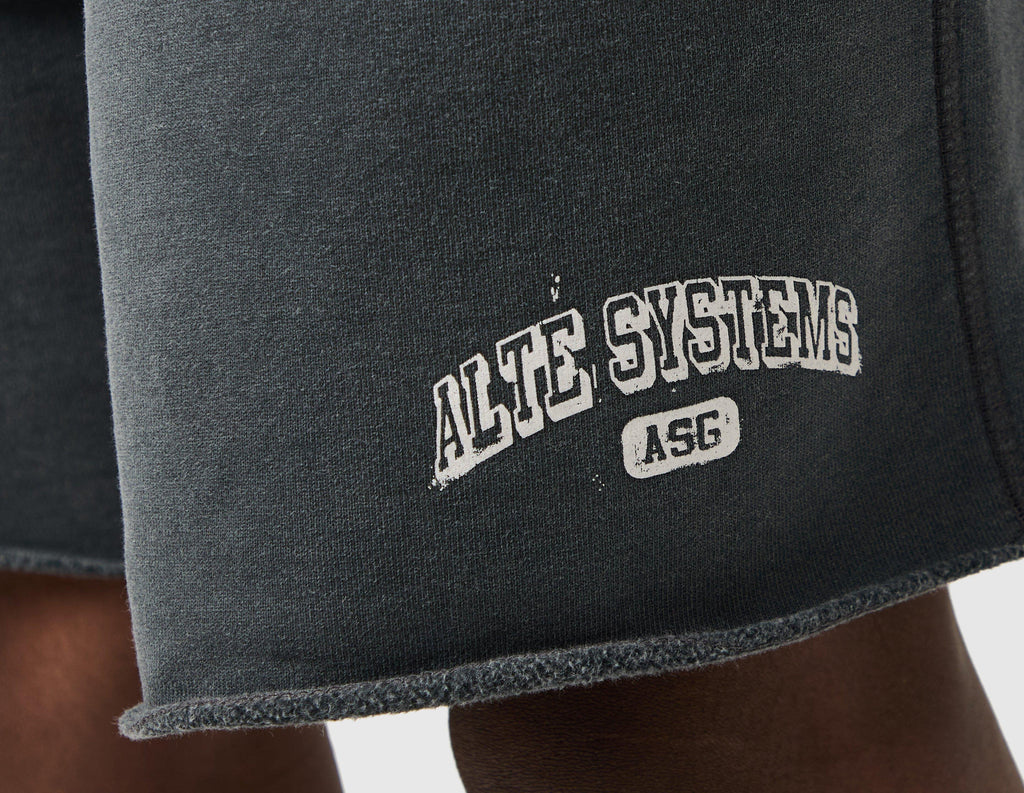 Alte Systems Analog Shorts